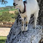 Πανσιόν Quadrifoglio Potenza Picena