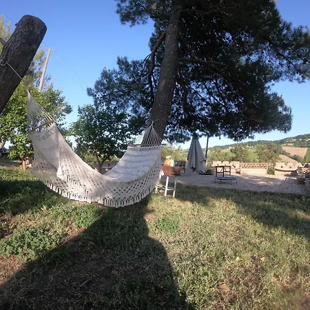 Quadrifoglio Potenza Picena